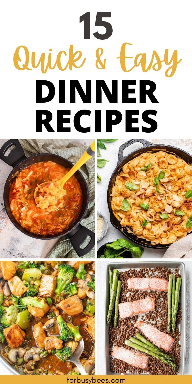 Quick Recipes 15 Quick and Easy Dinner Recipes for Lazy Meals - For Busy Bee's