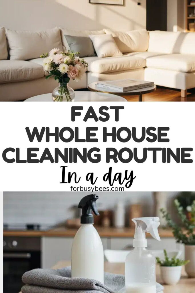 Fast Whole House Cleaning Routine