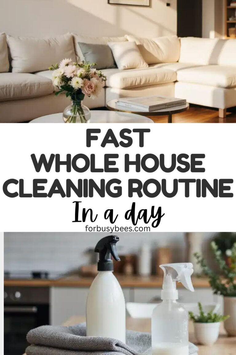 Fast Whole House Cleaning Routine