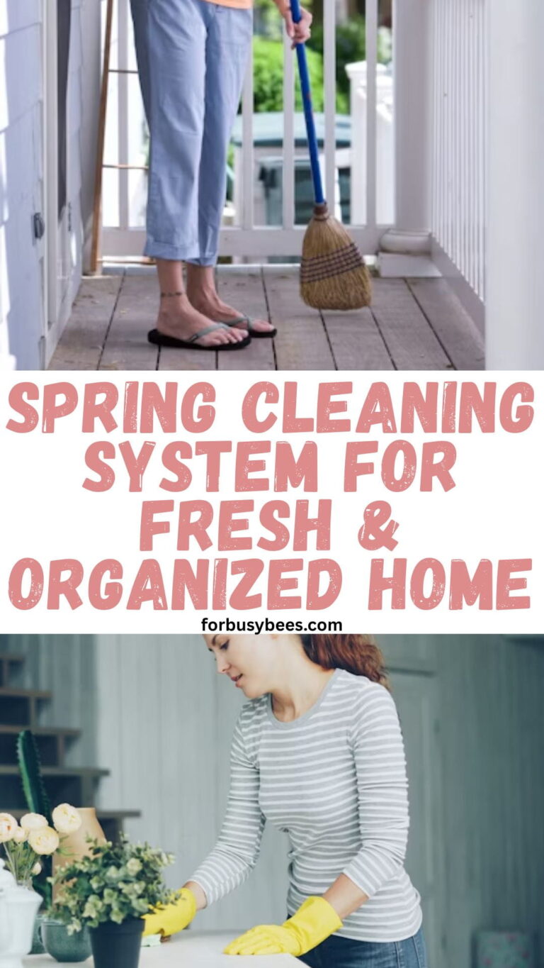 Spring cleaning system